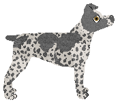 Lustre Remember the Titan Beetles — “Titan”