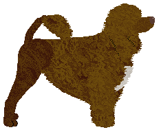 Czeko's Queen Of The Drama — “Drama”