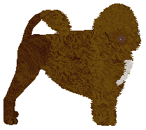 Profile image of Czeko's Queen Of The Drama