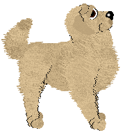 Sz's Zero Shadow Day — “Noon”