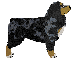 FullTilt's Forget your foolish days — “Ace”