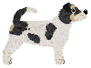 Dragosani DOMEK NA DRZEWIE — “Korowai”