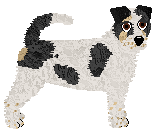 Profile image of Dragosani DOMEK NA DRZEWIE