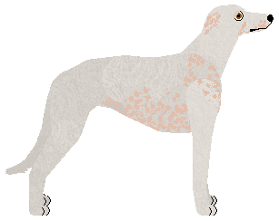 Polka Anioł Stróż — “Anioł”