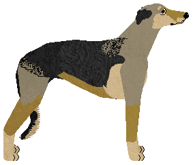 Polka Rusałka — “Gaja”