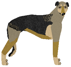 Profile image of Polka Rusałka