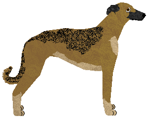 Vento de Espero's Smukła Sylwetka — “Smukła”