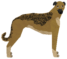 Profile image of Vento de Espero's Smukła Sylwetka