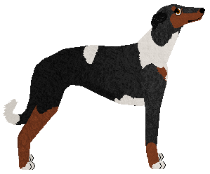 Polka Kapslami w Niebo — “Motyl”