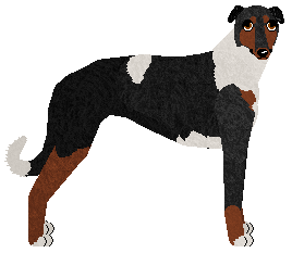 Profile image of Polka Kapslami w Niebo