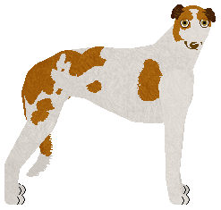 Profile image of Polka Magia i Miecz