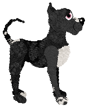 Dh's Opposites Attract at SzK — “Magnet”