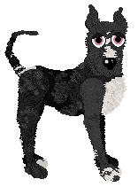 Profile image of Dh's Opposites Attract at SzK