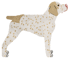 Dragosani KOLEKCJONER KOŚCI — “Hamlet”