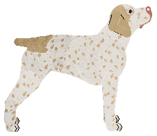 Dragosani KOLEKCJONER KOŚCI — “Hamlet”