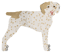 Profile image of Dragosani KOLEKCJONER KOŚCI