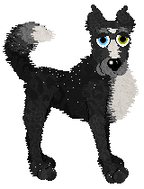 The Doghouse Magical Mysteria — “Hysteria”