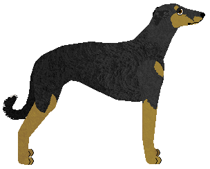 Kamvis' Jej Pasją Jest Bieg — “Pasja”