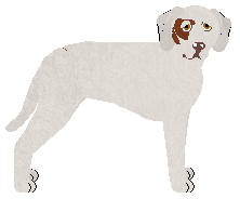 Profile image of Dragosani WIĘZIEŃ LABIRYNTU