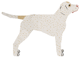 Dragosani STAROŻYTNA WIEDZA — “Runa”