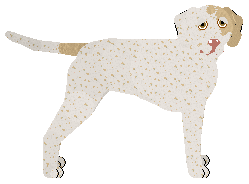 Profile image of Dragosani STAROŻYTNA WIEDZA