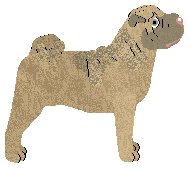 Pogarda WATCHU DOIN? — “Parrot”