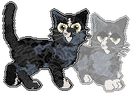 Profile image of Wanderly's Thunder Fang at Chachke