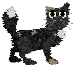 Dahlia/Witz's Heart of the Forest — “Darkness”