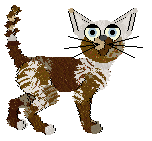 Cargo/Witz's A Path to Everywhere — “Hallway”