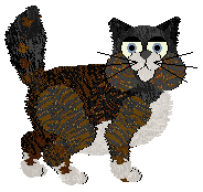 Witz's Higher Education — “College”