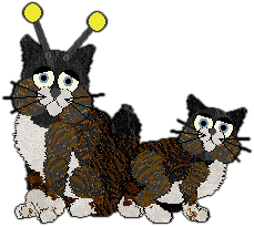 Profile image of Witz's Higher Education