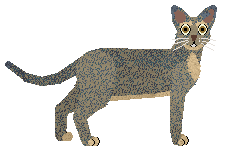 Mirror Blue's Smoke Mirage — “Chatur”