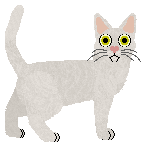 Mirror Blue's Moonbeam Rider — “Tak”