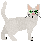 Mirror Blue's Starlight Serenade — “Waralee”