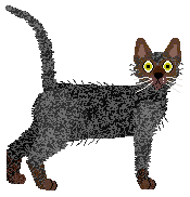 Mirror Blue's Return of Doctor X — “Humphrey”