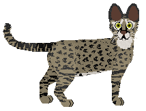 Mirror Blue's Spine Jolt — “Saida”