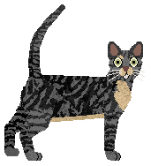 Mirror Blue's Urban Predator — “Bayana”