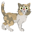 Mirror Blue's Silence Is Golden — “Silence”