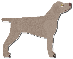 Profile image of Riflery My Many Meats