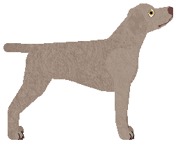 Riflery My Many Meats — “Kielbasa”