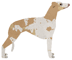 Jetstream Lessons In Grace And Decorum — “Deimos”