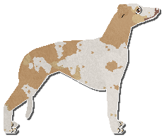 Profile image of Jetstream Lessons In Grace And Decorum