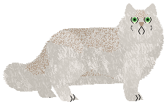 Monocle's Nothing But Dreams — “Ether”