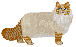 Monocle's Don't You Just Know It — “Steve”