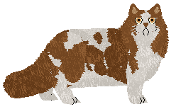 Monocle's Top Billing — “Tobin”