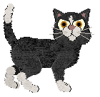 Taremu Boxed Up Anger — “Torture”