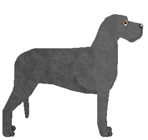 Oathkeeper Bring Back the Rain — “Becker”