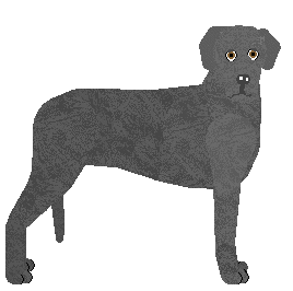 Profile image of Oathkeeper Bring Back the Rain