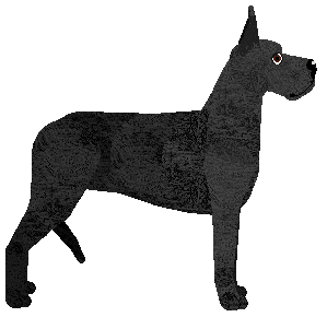 Clamour's Heart of Darkness — “Harkness”