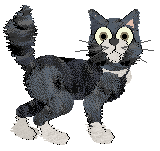 Profile image of Tangle's Made of Star Dust